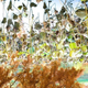 Illustration for article titled Shooting Challenge Fall Leaves Gallery 10
